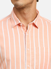 Men's Orange Striped Slim Fit Shirts